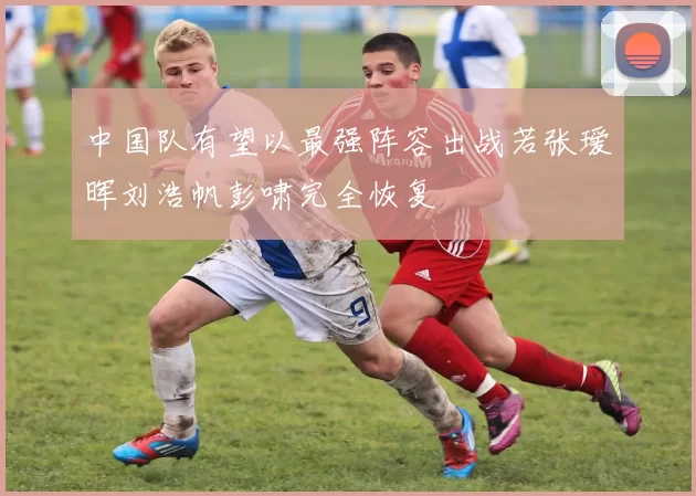 中国队有望以最强阵容出战若张瑷晖刘浩帆彭啸完全恢复
